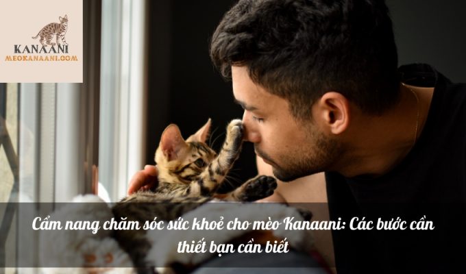 Cẩm nang chăm sóc sức khoẻ cho mèo Kanaani: Các bước cần thiết bạn cần biết