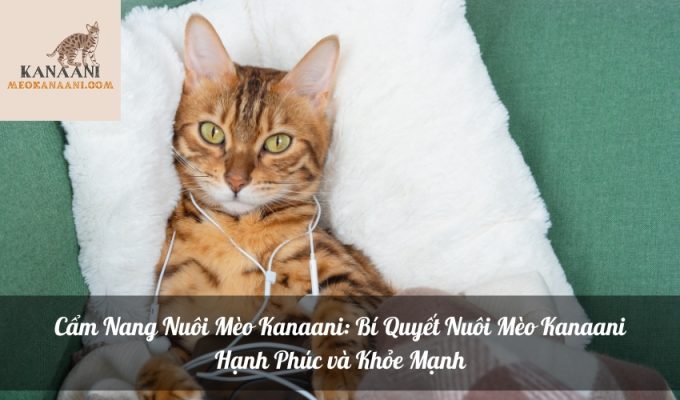 Cẩm Nang Nuôi Mèo Kanaani: Bí Quyết Nuôi Mèo Kanaani Hạnh Phúc và Khỏe Mạnh