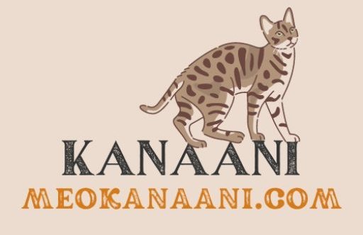 Meokanaani.com