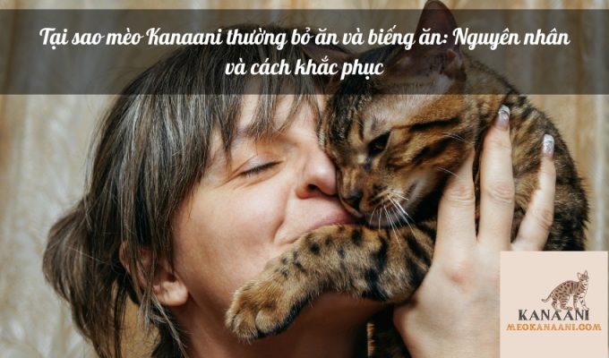 Tại sao mèo Kanaani thường bỏ ăn và biếng ăn: Nguyên nhân và cách khắc phục